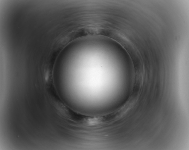 X0000088910134200706081348
