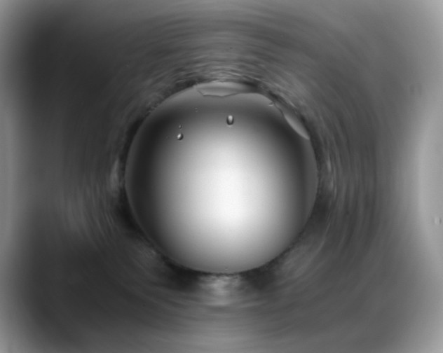 X0000088910135200706081348