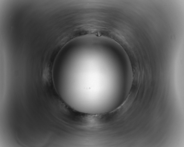 X0000088910136200706081348