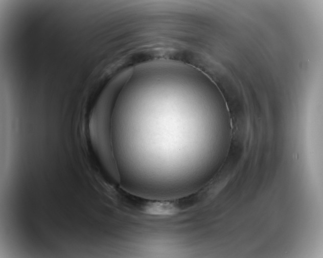 X0000088910137200706081348