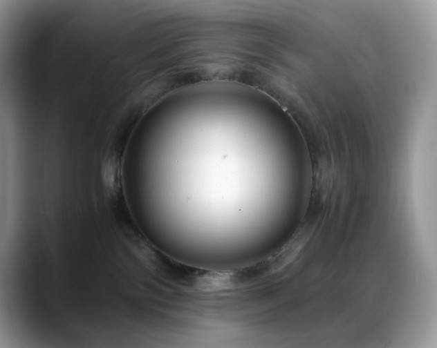 X0000088910138200706081348