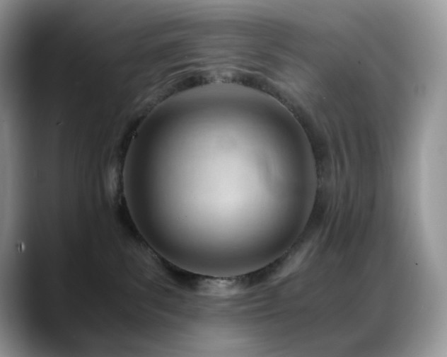 X0000088910139200706081348