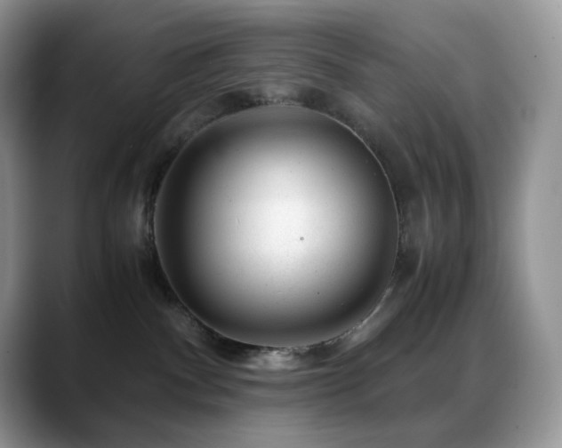 X0000088910140200706081348