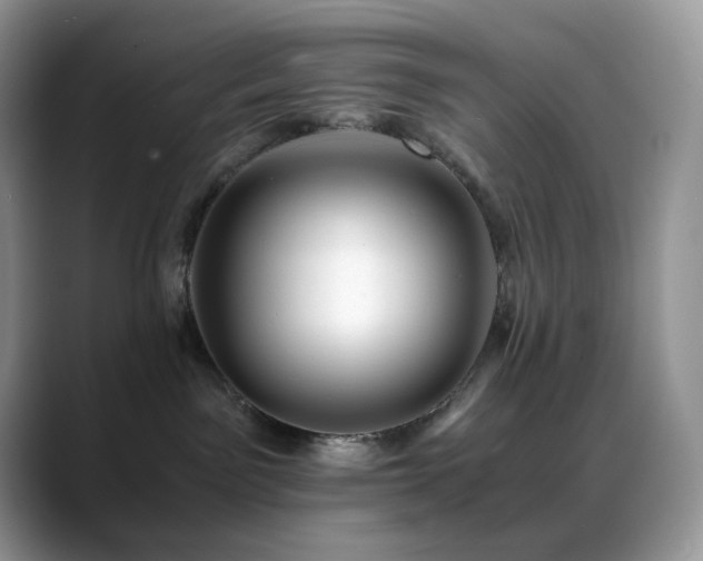 X0000088910141200706081348