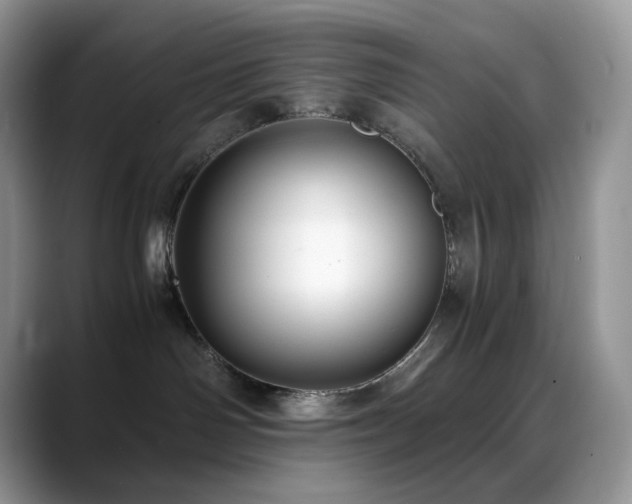 X0000088910142200706081348