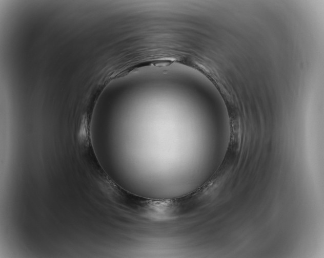 X0000088910143200706081348