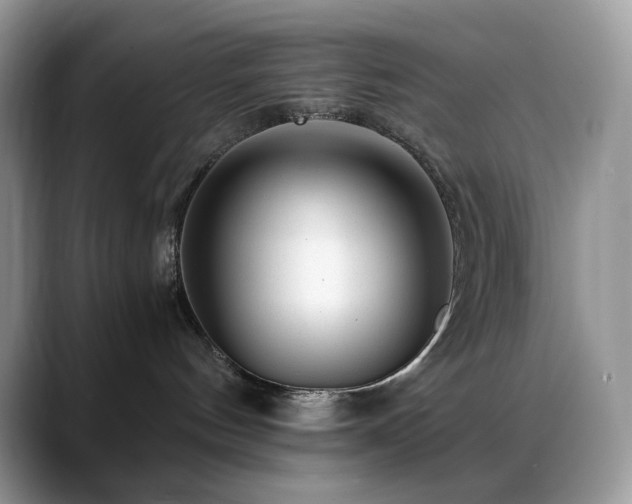 X0000088910144200706081348