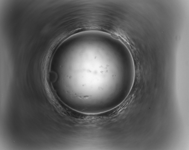 X0000088910145200706081347
