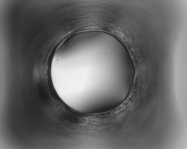 X0000088910146200706081347