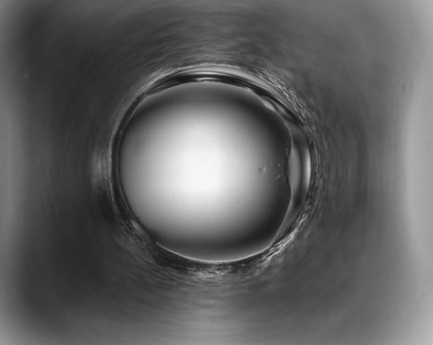 X0000088910148200706081347