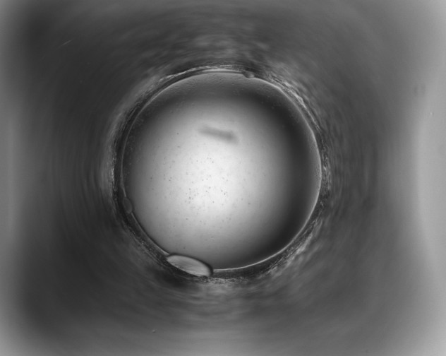 X0000088910149200706081347