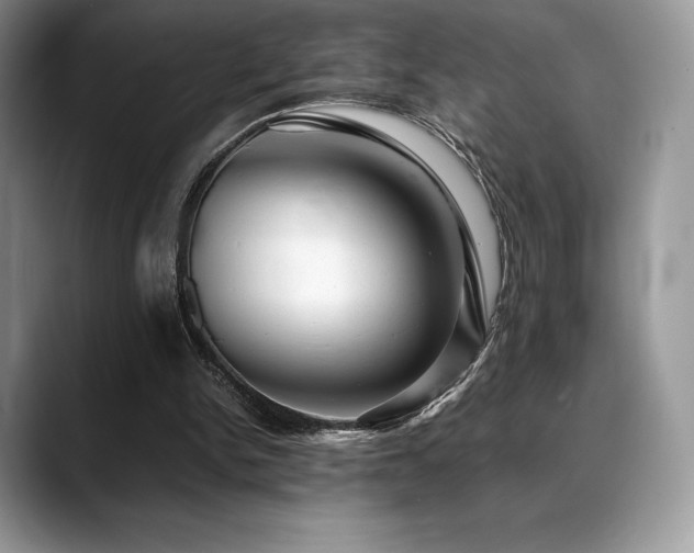 X0000088910150200706081347