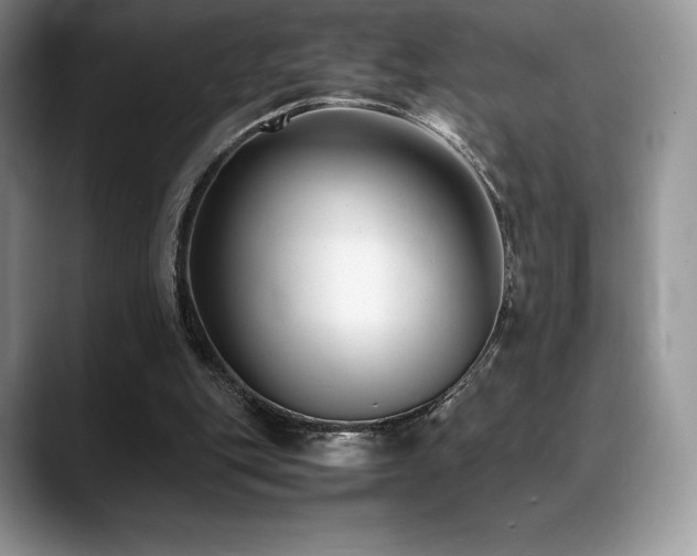 X0000088910151200706081347