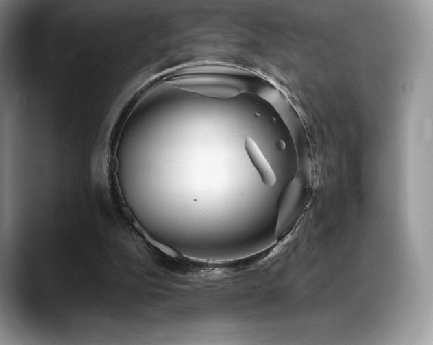 X0000088910152200706081347