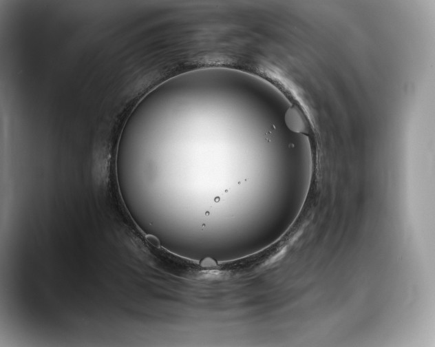 X0000088910153200706081347