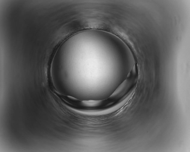 X0000088910154200706081347