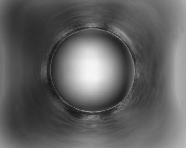 X0000088910155200706081347