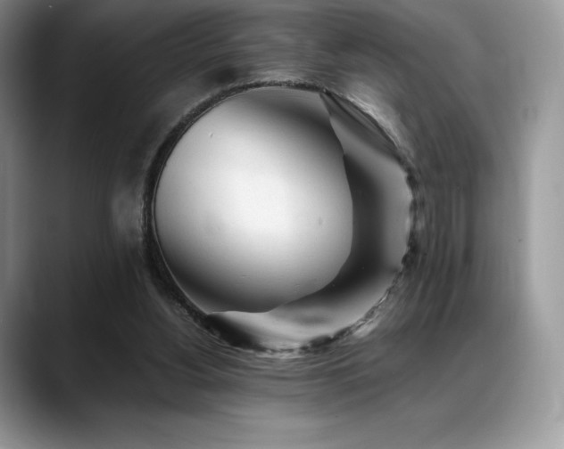 X0000088910156200706081347