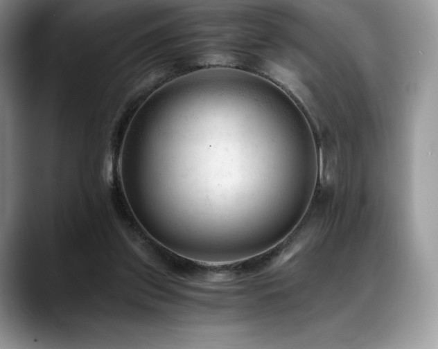 X0000088910157200706081347