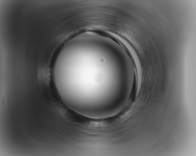 X0000088910160200706081348