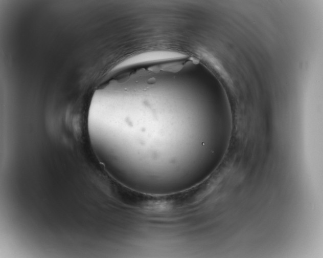 X0000088910161200706081348