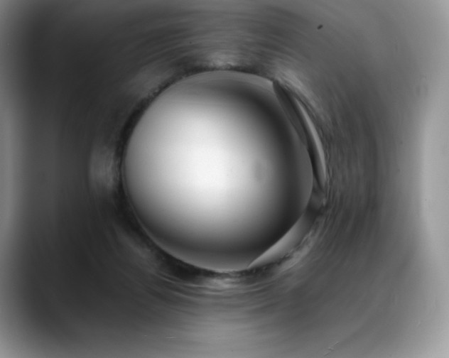 X0000088910164200706081348