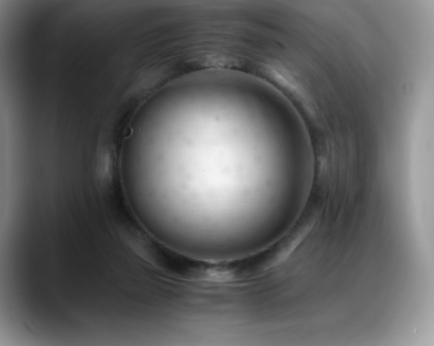 X0000088910165200706081348