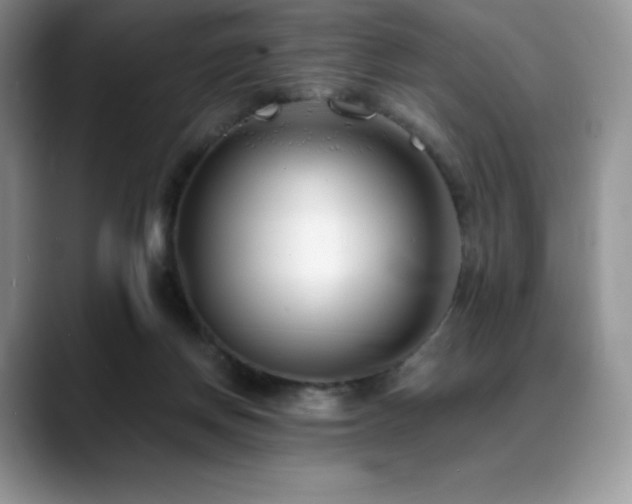 X0000088910166200706081348