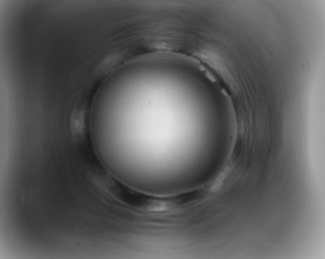 X0000088910167200706081348
