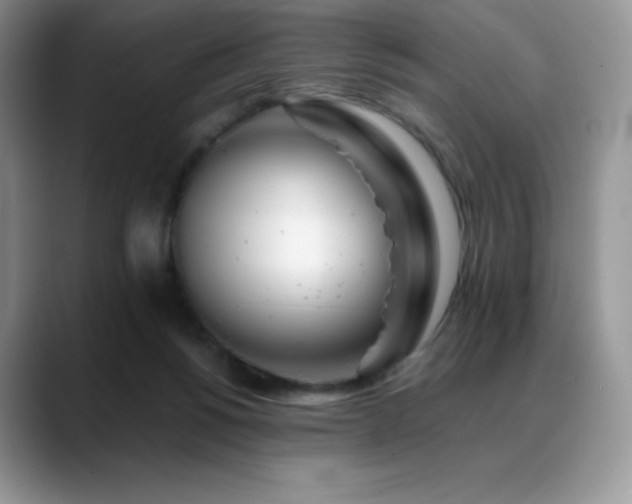 X0000088910168200706081348