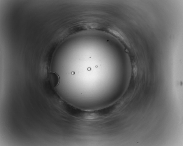 X0000088910169200706081348