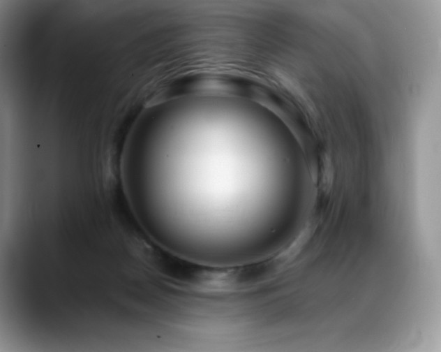 X0000088910170200706081348