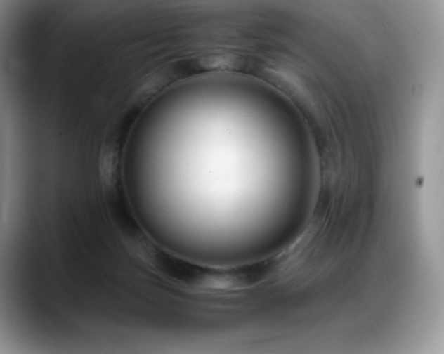 X0000088910171200706081348