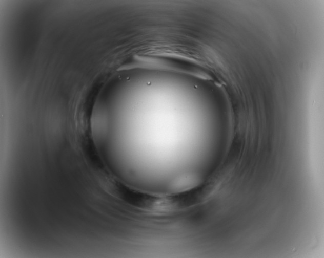 X0000088910173200706081348