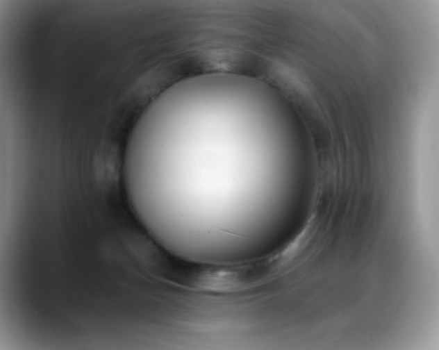 X0000088910174200706081348