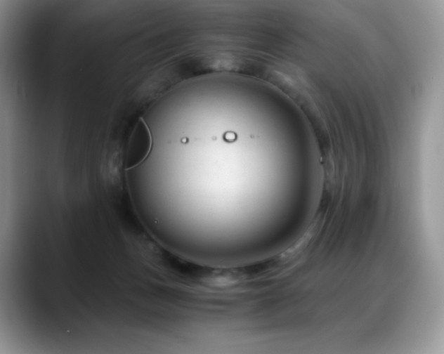 X0000088910175200706081348