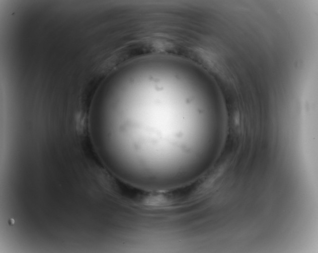 X0000088910177200706081348