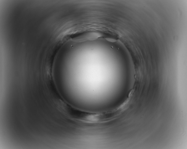 X0000088910178200706081348