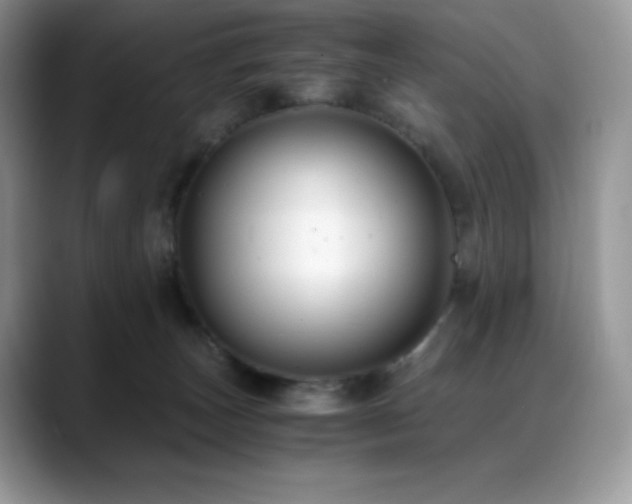 X0000088910179200706081348