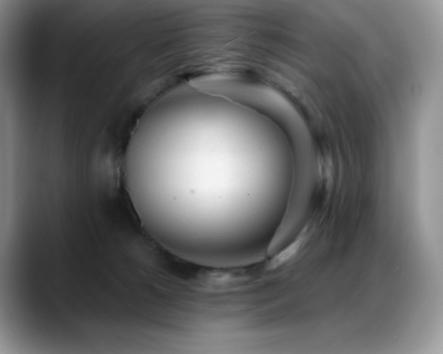 X0000088910180200706081348