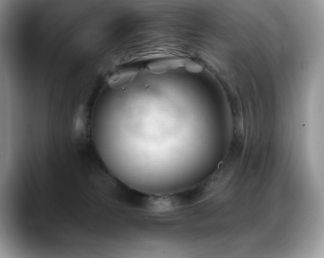 X0000088910181200706081348