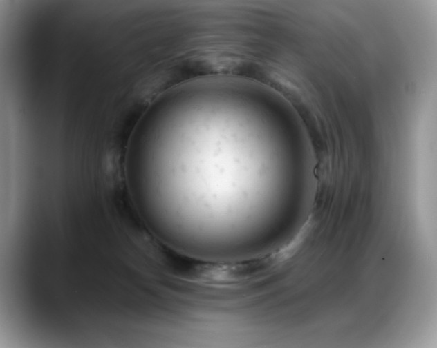X0000088910182200706081348