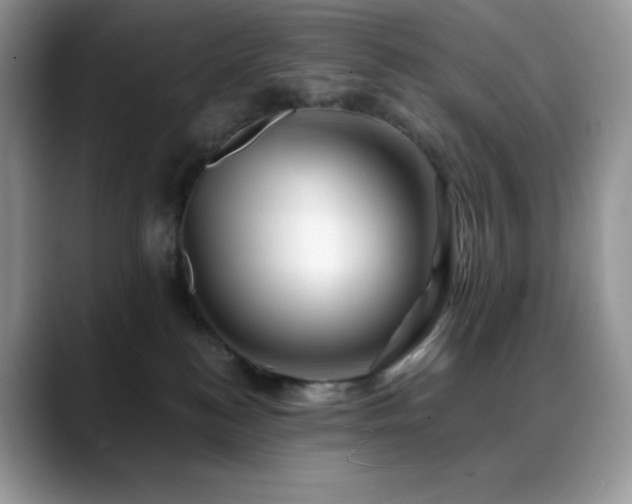 X0000088910184200706081348