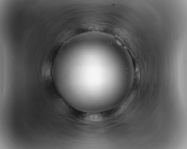 X0000088910185200706081348