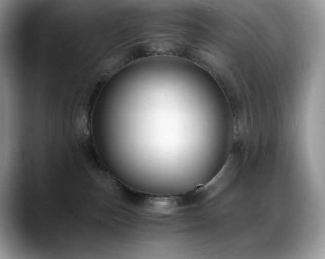 X0000088910187200706081348