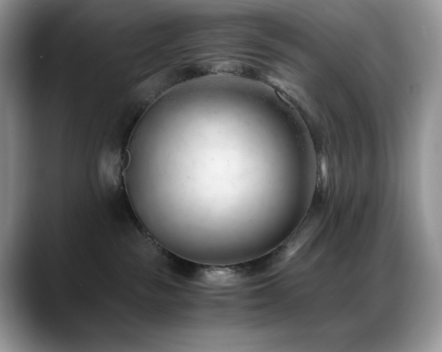X0000088910189200706081348