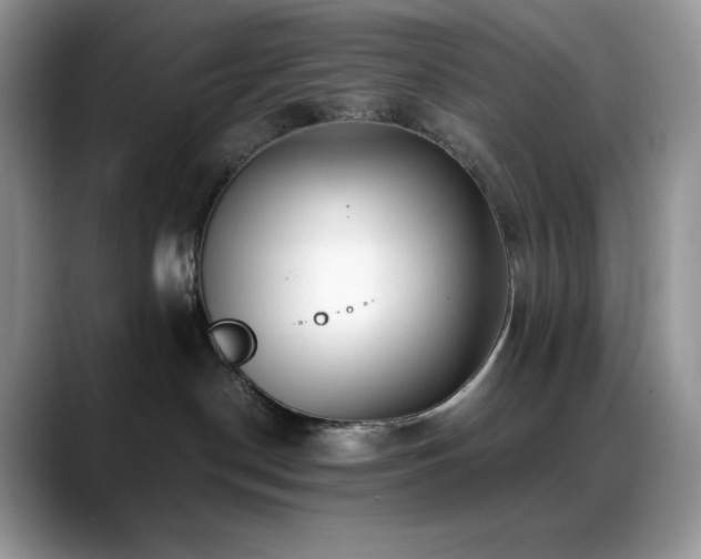 X0000088910190200706081348