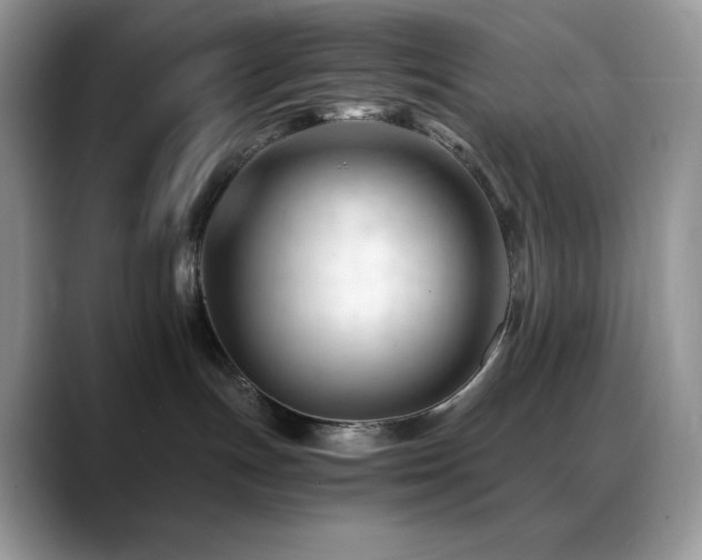 X0000088910191200706081348