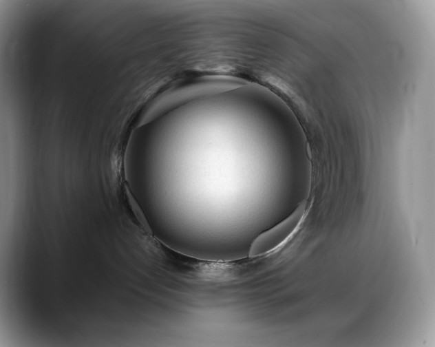 X0000088910192200706081348