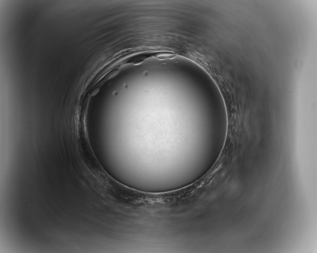 X0000088910194200706081347